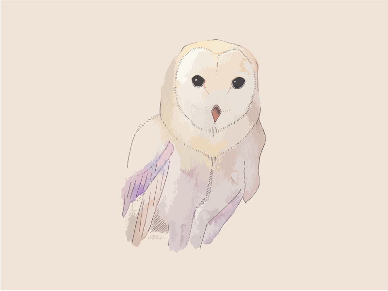 Barn Owl art barn digital ink national owl park watercolor yellowstone