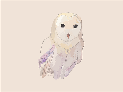 Barn Owl art barn digital ink national owl park watercolor yellowstone