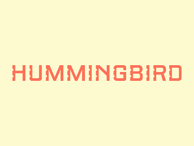HB custom hummingbird letters logo logotype notch type type design