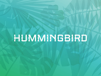 HB custom exotic gradient hummingbird letters logo logotype mark notch palm tropical type design