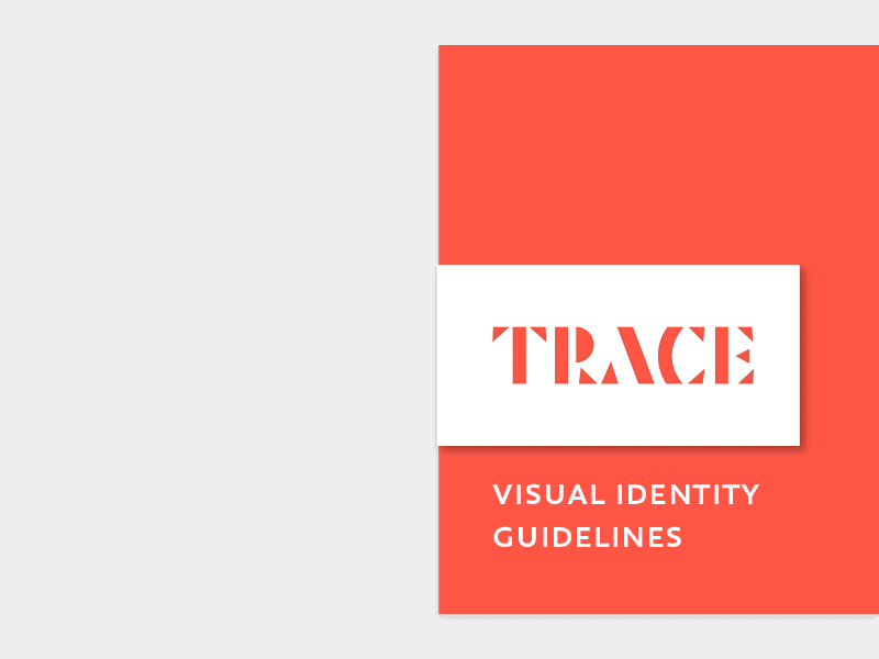 Visual Identity Guidelines book brand custom education guidelines identity logo red style guide trace type