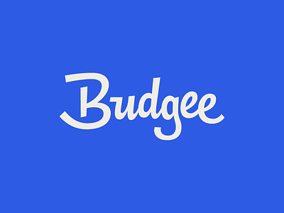 Budgee blue budget budgie coupon custom deal logo logotype script