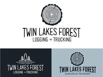 Twin Lakes Logo branding identity logo