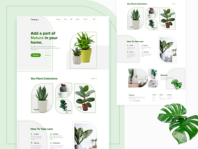 Planting - UI Design for Indoor Plant Store