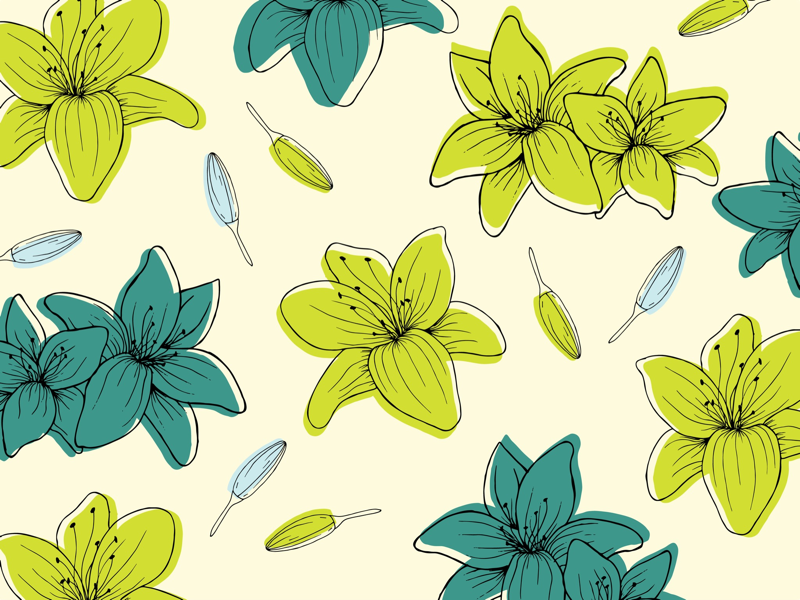 Lily flowers by Janae Freger on Dribbble