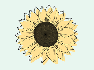 Sunflower adobe fresco design digital art digital illustration flat floral art flower art illustration line art sunflower art sunflower illustration vector