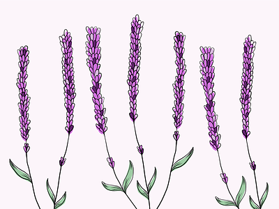 Lavender lavender lavender flower seamless pattern