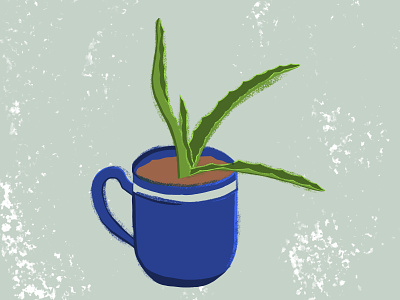 Aloe Plant aloe illustration aloe plant house plants vector