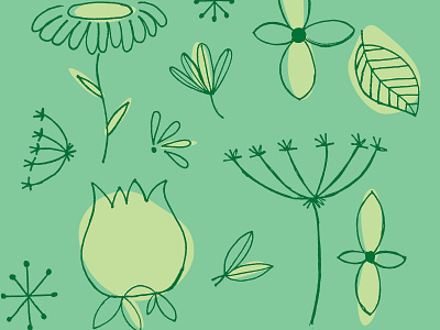 Feeling these floral vibes lately botanical design flat floral illustration illustrator pattern design vector