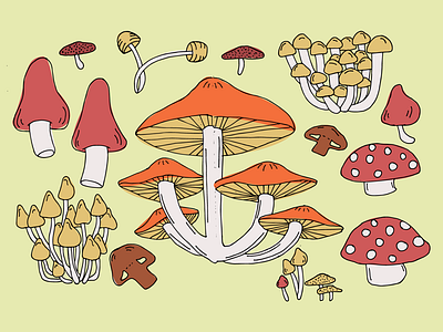 Mushrooms by Janae Freger on Dribbble