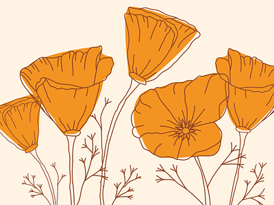 California Poppy botanical creative design flat floral flower illustration illustrator minimal pattern pattern design poppy vector