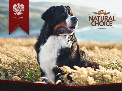 Natural Choice - Rich Media Advertisement advertising dog dog food rich media