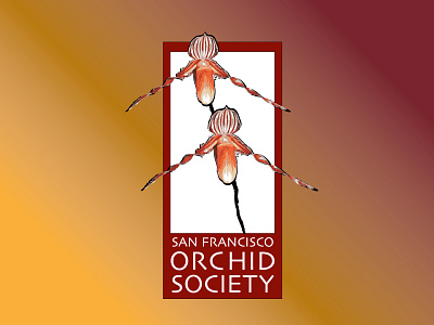 Branding + Identity: San Francisco Orchid Society branding branding and identity illustration logo nonprofit pacific orchid expo poe san francisco orchid society sfos
