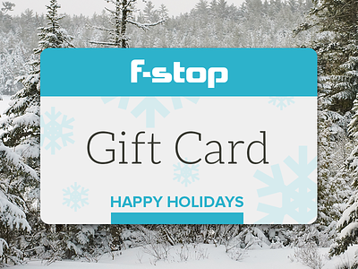 Holiday Gift Card card christmas discount ecommerce gift gift card holiday snow ui winter