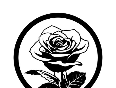 Rose design illustration