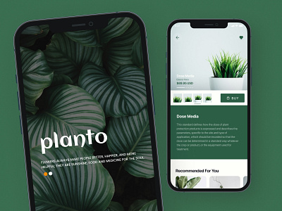 PLANTO animation app branding design graphic design illustration logo ui uidesign ux uxdesign vector