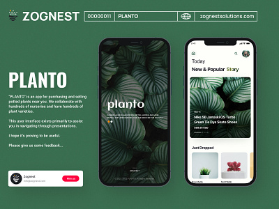 PLANTO animation app branding design graphic design illustration logo ui uidesign ux uxdesign vector