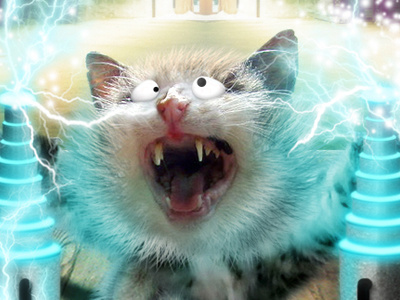 Fried Cat blue cat graphics lightning photoshop effects web design yellow