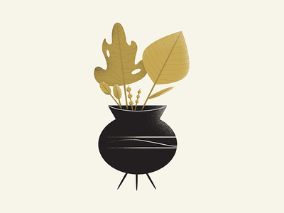 Mid Century Plants