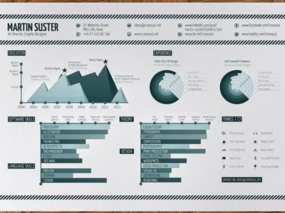 Infographic Resume curriculum cv graph infographic print resume vitae