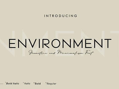 Environment sans serif