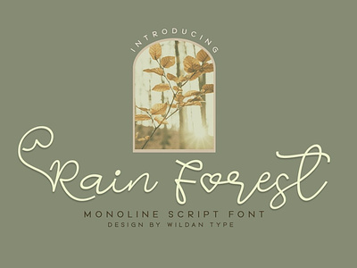 Rain Forest girly script