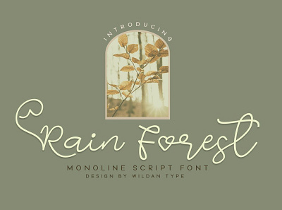 Rain Forest girly script