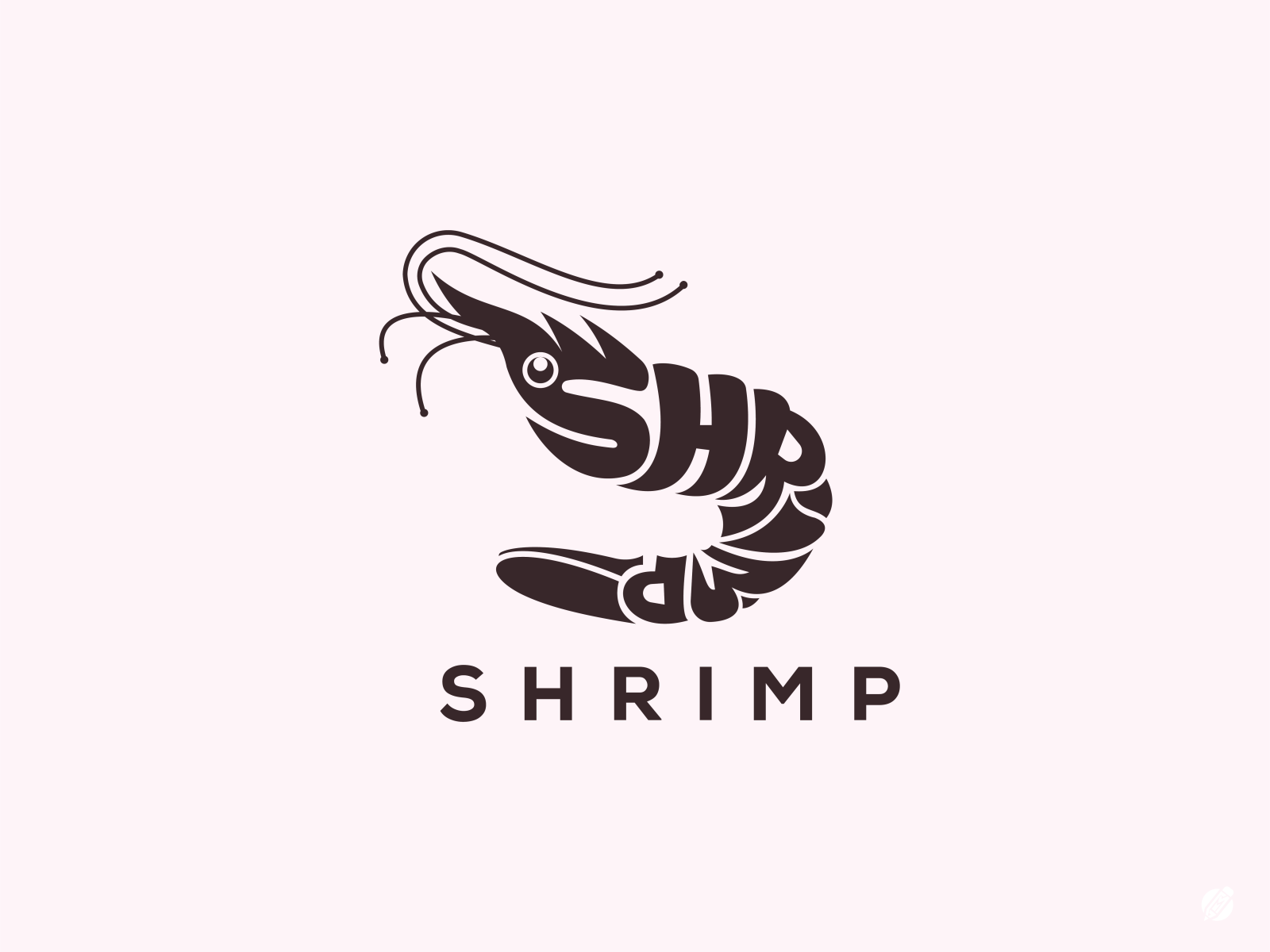 Shrimp Wordmark Logo Design by LOGOFiLLX on Dribbble