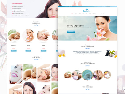 Spa Website design spa