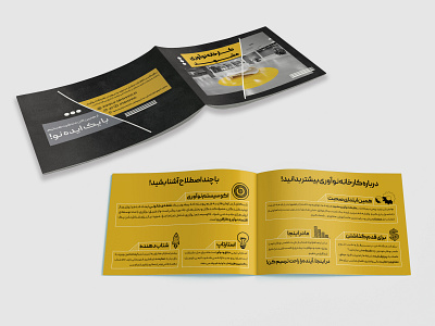 Brochure design graphic design illustration