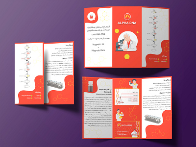 Three trifold brochure branding design graphic design illustration vector