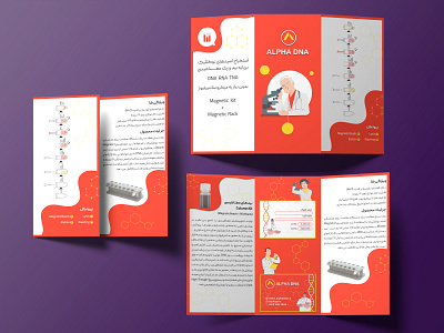 Three trifold brochure