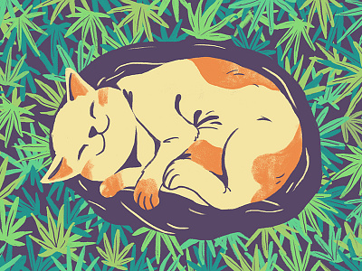 Sweet Dreams 2d cat design editorial flat illustration illustrator marijuana weed