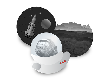 Every space monkey's dream animal black and white cute dream dreamforce grayscale mars monkey rocket space universe