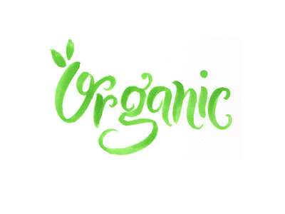 Organic Brush Type brush comics food hand lettering lettering marker market natural organic plant type typography