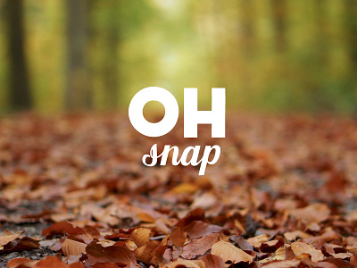 Oh Snap! art bold calligraphy digital hand lettering oh snap photo photography script type typography vector