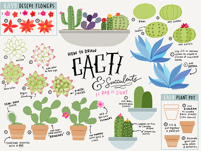 Cacti & Succulents Illustration Tutorial cacti cute digital illustration nature plants succulents tutorial