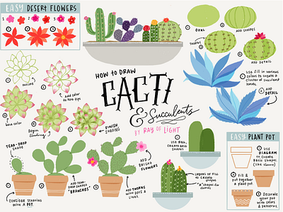 Cacti & Succulents Illustration Tutorial