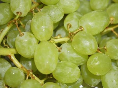 green grapes