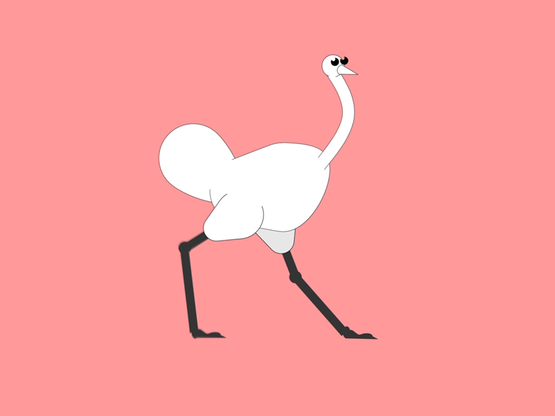 Run Ostrich Run autruche cartoon character animation duik gif loop ostrich run walk