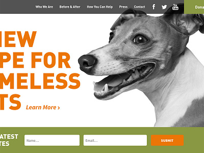 The Cutest Homepage You'll Ever See animal animal rescue dog new media campaigns pets web web design website