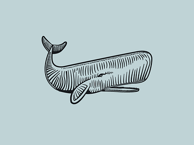 Sperm Whale