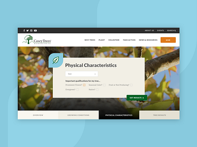 Tree Finder form nonprofit search ui web design website