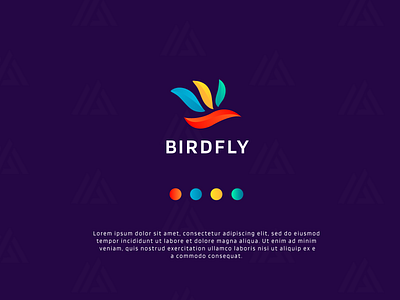 BIRDFLY Colorful Gradient Logo