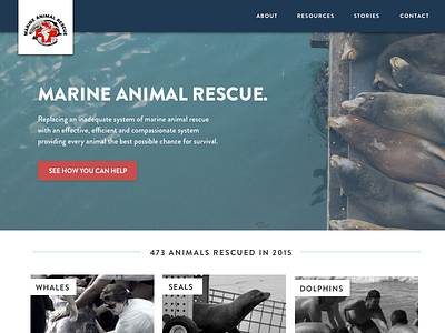 #003 Daily UI - Landing Page animal dailyui form landingpage marine ocean product rescue ui visual web