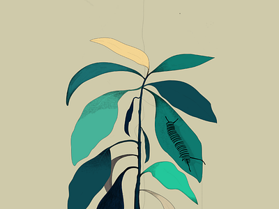 growth avocado avocado tree catapillar design growing illustration leaf plant