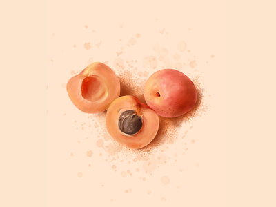 dreaming of apricots apricot consept design fruit illustration love passion symbolism