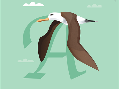 A is for Albatross albatross birds typography