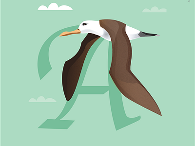 A is for Albatross