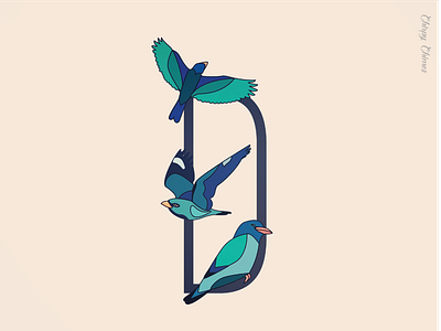 D is for the Dollar Bird d dollarbird typography